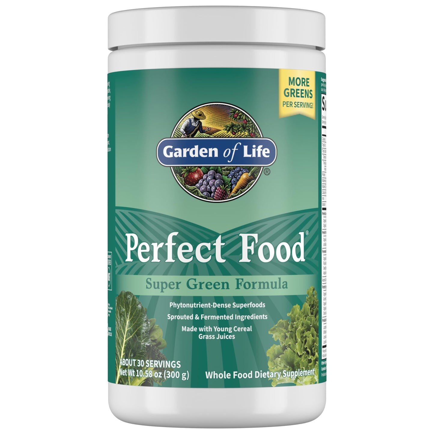 Garden of Life Perfect Food Super Green Formula - 30 Servings | 45 Superfoods, Greens, Fruit & Veggie Juice Superfood Powder Supplement, Probiotics & Organic Spirulina for Digestion & Immune Health