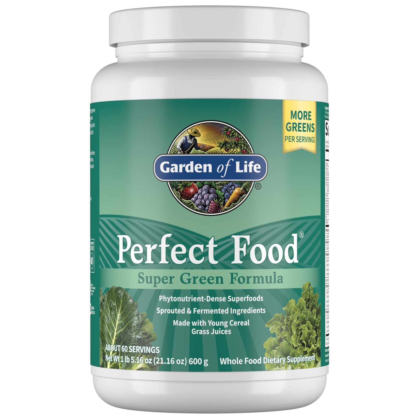 Garden of Life Perfect Food Super Green Formula - 30 Servings | 45 Superfoods, Greens, Fruit & Veggie Juice Superfood Powder Supplement, Probiotics & Organic Spirulina for Digestion & Immune Health